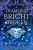 A Diamond Bright and Broken - Holly Davisová