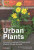 A Field Guide to Urban Plants - Alexandra-Maria Klein,Julia Krohmer