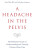 A Headache in the Pelvis - David, PhD Wise,Dr Rodney Anderson