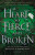 Heart So Fierce and Broken - Brigid Kemmererová
