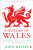 A History of Wales - John Davies