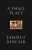A Small Place - Jamaica Kincaid