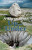 A Three Peaks Up and Under - Stephen C. Oldfield