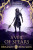 A Veil of Spears - Bradley Beaulieu