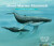 About Marine Mammals - Cathryn Sill