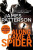Along Came a Spider - James Patterson