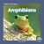 Amphibians - Dalton Rains