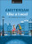 Amsterdam Like a Local - Nellie Huang,Elysia Brenner,Michal Mordechay