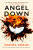 Angel Down - Daniel Kraus