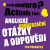 Anglické konverzační otázky a odpovědi pro pokročilé - Richard Ludvík
