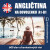 Angličtina na dovolenku A1-B1 - audioacaemyeu