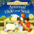Poppy and Sam's Animal Hide-and-Seek - Jenny Tyler