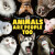 Animals Are People Too - Odd Dot