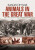 Animals in the Great War - Lucinda Moore