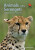 Animals of the Serengeti - Adam Scott Kennedy,Vicki Beard
