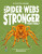 Are Spider Webs Stronger Than Steel? - Olivia Watson