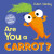 Are You a Carrot? - Pat-a-Cake