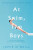 At Swim, Two Boys - Jamie O'Neill