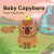 Baby Capybara: Finger Puppet Book - 