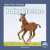 Baby Horses - Nick Rebman