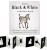 Baby's Black and White Contrast Book - Tabitha Paige