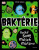 Baktérie - Steve Mould