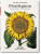 Basilius Besler´s Florilegium: The Book of Plants - Klaus Walter Littger,Werner Dressendörfer