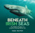 Beneath Irish Seas - Nigel Motyer