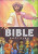 Bible Boží plán - Amy Parkerová