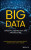 Big Data - Amir H.  Gandomi,Seifedine  Kadry,Nandhini  Abirami R,Balamurugan  Balusamy