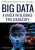 BIG DATA a umělá inteligence pro manažery - Barbora Štětinová,Lukáš Bernat,Vladimír Löffler
