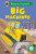 Big Machines: Read It Yourself - Level 2 Developing Reader - Ladybird