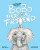 BoBo Finds a Friend - Celia Straus,Tina Salvesen