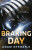 Braking Day - Adam Oyebanji