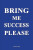 Bring Me Success Please - Liza Lee