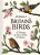 Britain's Birds - National Trust Books,Jo Woolf