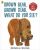 Brown Bear, Brown Bear, What Do You See? - Eric Carle