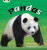 Bug Club Phonics - Phase 3 Unit 9: Pandas - Emma Lynch