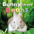 Bunny Loves Beans - Jane Whittingham
