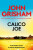 Calico Joe - John Grisham