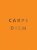 Carpe Diem - Summersdale Publishers