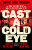 Cast a Cold Eye - Robbie Morrison