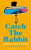 Catch the Rabbit - Lana Bastašić