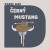 Černý mustang - Karel May