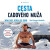 Cesta ľadového muža - Wim Hof,Koen de Jong