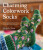 Charming Colorwork Socks - Charlotte Stone
