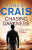 Chasing Darkness - Robert Crais