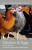 Chicken & Eggs - Mark Diacono