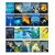Children's Introduction to Science for Beginners;20-Book Set - Jasmine Brooke