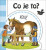 Co je to? Koně - Hana Mertová